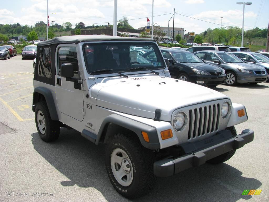 2004 Wrangler X 4x4 - Bright Silver Metallic / Dark Slate Gray photo #9