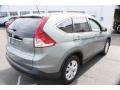 Opal Sage Metallic - CR-V EX-L 4WD Photo No. 6