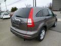 2010 Urban Titanium Metallic Honda CR-V EX AWD  photo #7