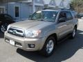 Driftwood Pearl - 4Runner SR5 4x4 Photo No. 3