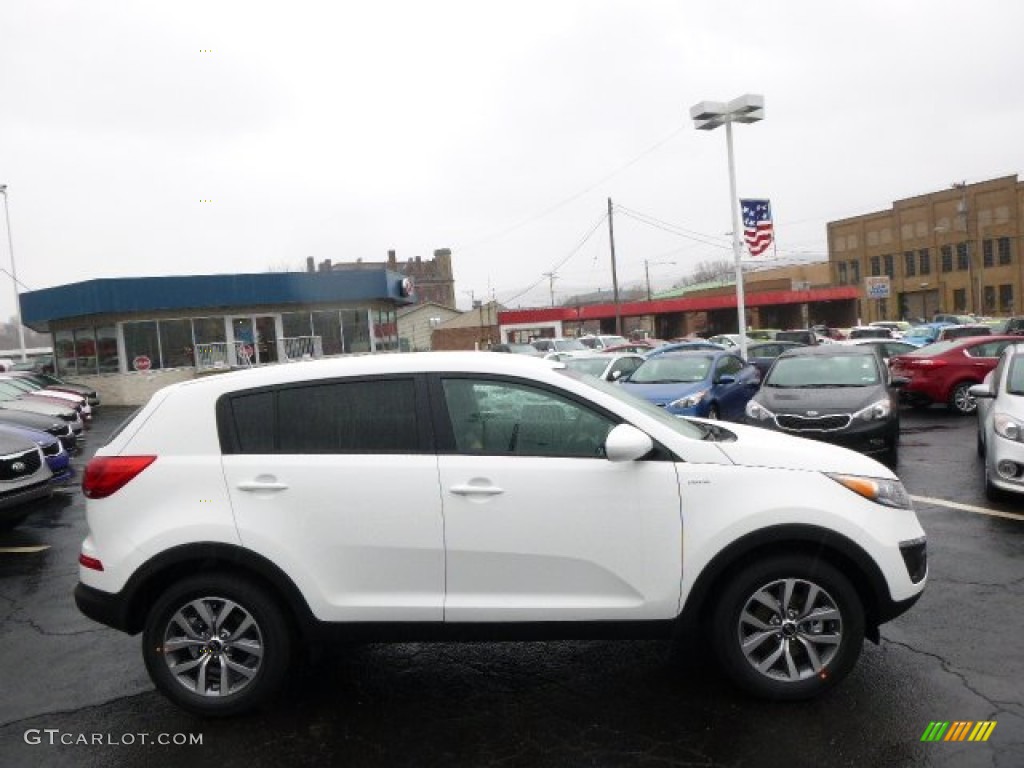 2014 Sportage LX AWD - Clear White / Black photo #1