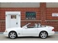 Glacier White - SL 500 Roadster Photo No. 82