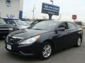 Pacific Blue Pearl - Sonata GLS Photo No. 1