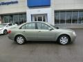 Natural Khaki - Sonata GLS Photo No. 6