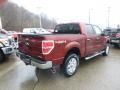 2014 Sunset Ford F150 XLT SuperCrew 4x4  photo #8