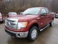 2014 Sunset Ford F150 XLT SuperCab 4x4  photo #4