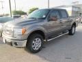 2014 Sterling Grey Ford F150 XLT SuperCrew 4x4  photo #2