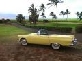 1955 Goldenrod Yellow Ford Thunderbird Convertible  photo #1
