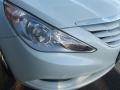 Shimmering White - Sonata GLS Photo No. 46