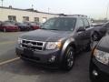 2011 Sterling Grey Metallic Ford Escape XLT 4WD  photo #3