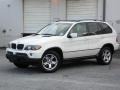 Alpine White - X5 3.0i Photo No. 2