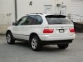 Alpine White - X5 3.0i Photo No. 5