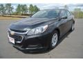 Black Granite Metallic - Malibu LS Photo No. 2