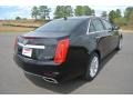 Black Raven - CTS Sedan Photo No. 5
