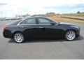 Black Raven - CTS Sedan Photo No. 6