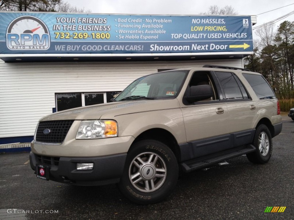 2005 Expedition XLT 4x4 - Pueblo Gold Metallic / Medium Flint Grey photo #1