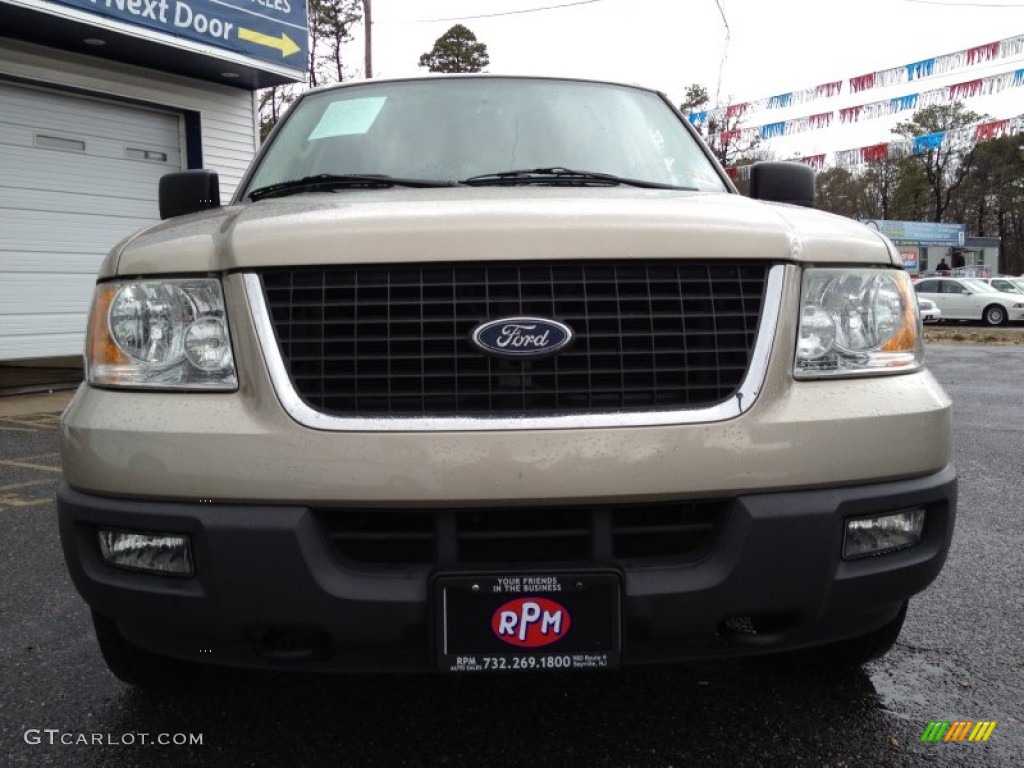 2005 Expedition XLT 4x4 - Pueblo Gold Metallic / Medium Flint Grey photo #3