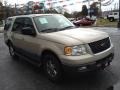 2005 Pueblo Gold Metallic Ford Expedition XLT 4x4  photo #4