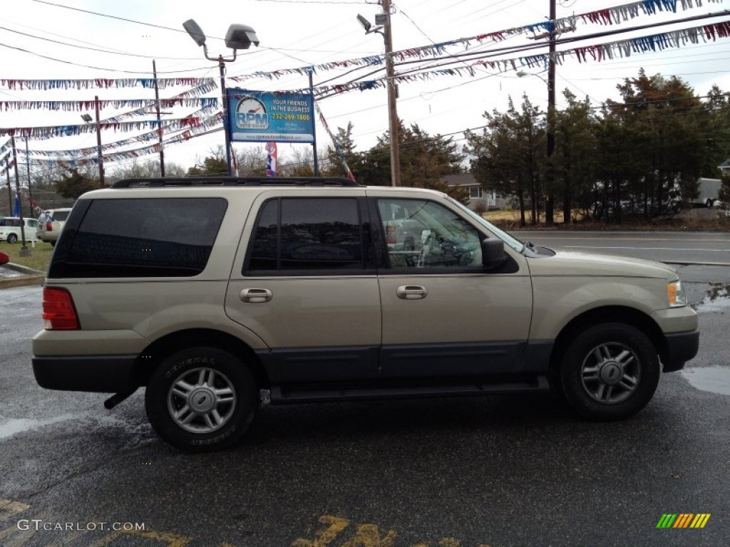 2005 Expedition XLT 4x4 - Pueblo Gold Metallic / Medium Flint Grey photo #5