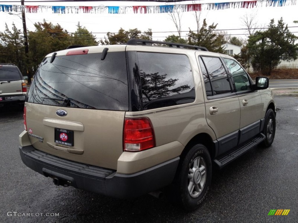 2005 Expedition XLT 4x4 - Pueblo Gold Metallic / Medium Flint Grey photo #13