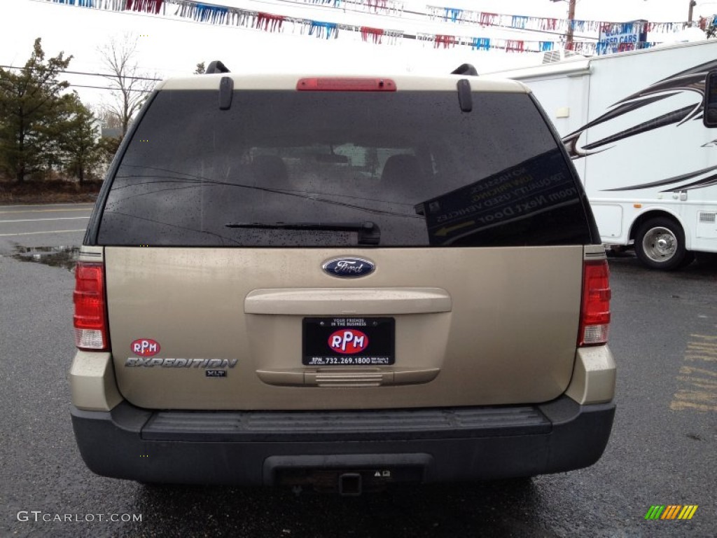 2005 Expedition XLT 4x4 - Pueblo Gold Metallic / Medium Flint Grey photo #14