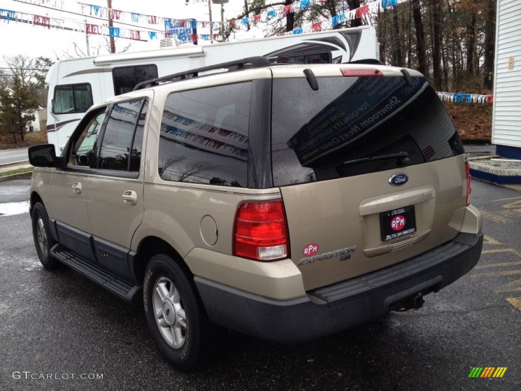 2005 Expedition XLT 4x4 - Pueblo Gold Metallic / Medium Flint Grey photo #16