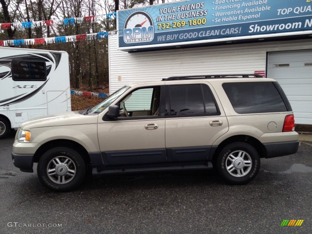 2005 Expedition XLT 4x4 - Pueblo Gold Metallic / Medium Flint Grey photo #18