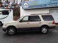 2005 Pueblo Gold Metallic Ford Expedition XLT 4x4  photo #18