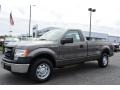 Sterling Grey - F150 XL Regular Cab Photo No. 3