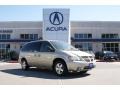 Linen Gold Metallic 2006 Dodge Grand Caravan SXT