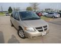 Linen Gold Metallic - Grand Caravan SXT Photo No. 9