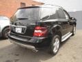Black - ML 350 4Matic Photo No. 4