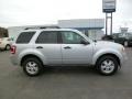 2012 Ingot Silver Metallic Ford Escape XLT 4WD  photo #8