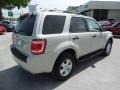 2009 Sterling Grey Metallic Ford Escape XLT  photo #9
