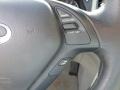 Platinum Graphite - EX 35 AWD Photo No. 25