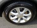 Platinum Graphite - EX 35 AWD Photo No. 35