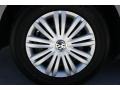 2014 Platinum Gray Metallic Volkswagen Passat 2.5L S  photo #10
