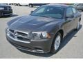Granite Crystal Metallic - Charger SE Photo No. 1