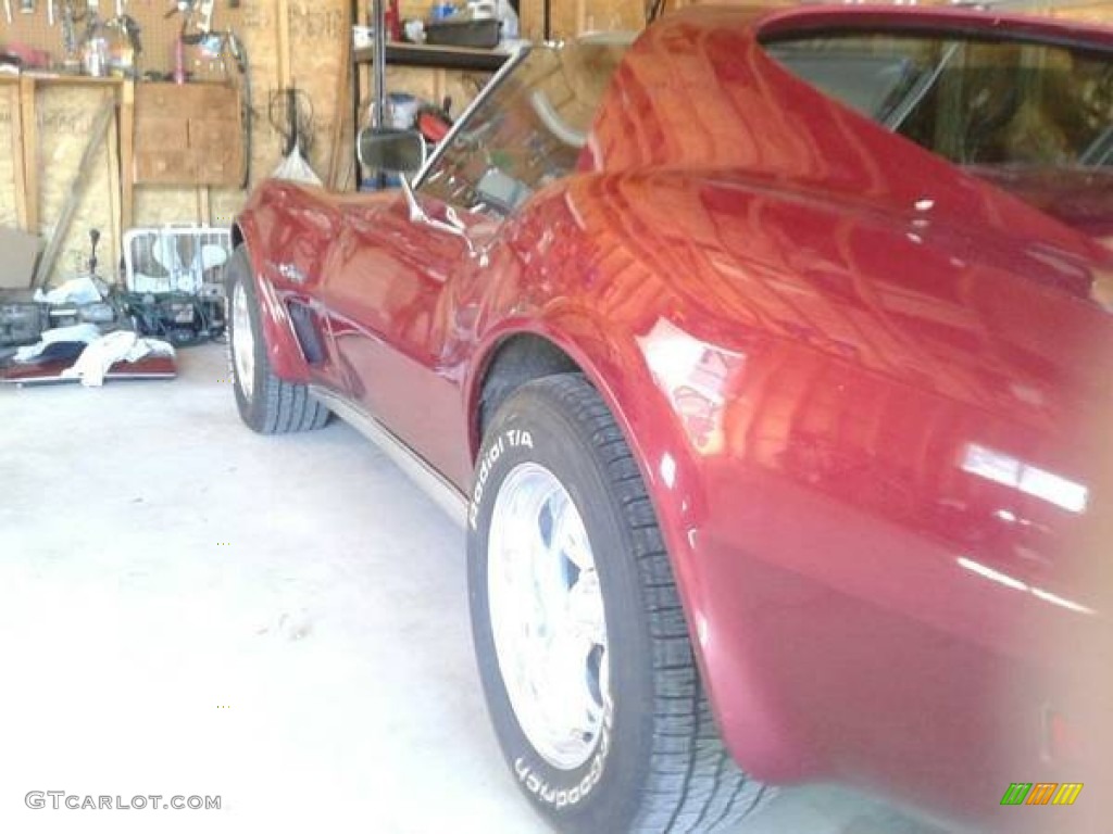 1975 Corvette Stingray Coupe - Dark Red / Light Neutral photo #3