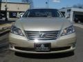 Satin Cashmere Metallic - ES 350 Photo No. 2