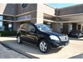 Black - ML 350 4Matic Photo No. 1
