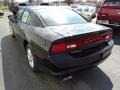 Pitch Black - Charger SE Photo No. 3