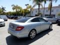 2013 Iridium Silver Metallic Mercedes-Benz C 250 Coupe  photo #3