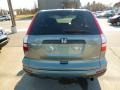 2011 Opal Sage Metallic Honda CR-V SE 4WD  photo #5