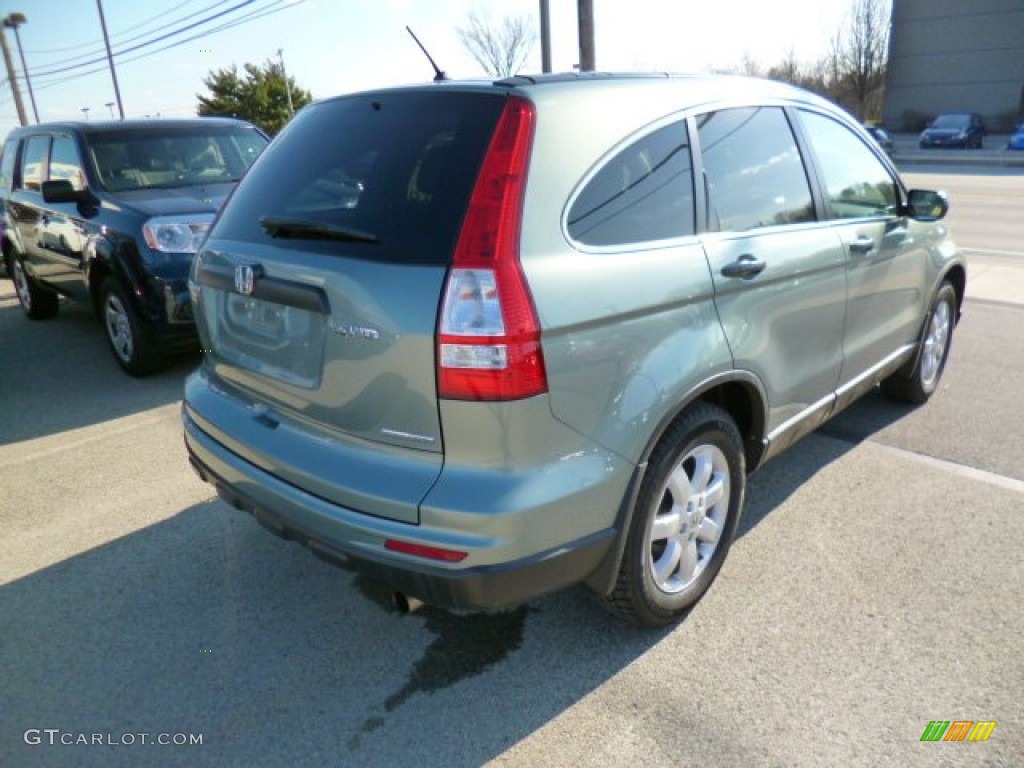 2011 CR-V SE 4WD - Opal Sage Metallic / Ivory photo #6