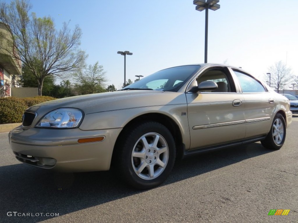 Harvest Gold Metallic Mercury Sable