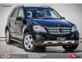 Black - ML 350 4Matic Photo No. 1