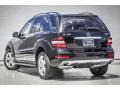 Black - ML 350 4Matic Photo No. 10
