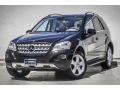 Black - ML 350 4Matic Photo No. 12