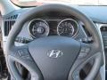 2014 Phantom Black Metallic Hyundai Sonata GLS  photo #16